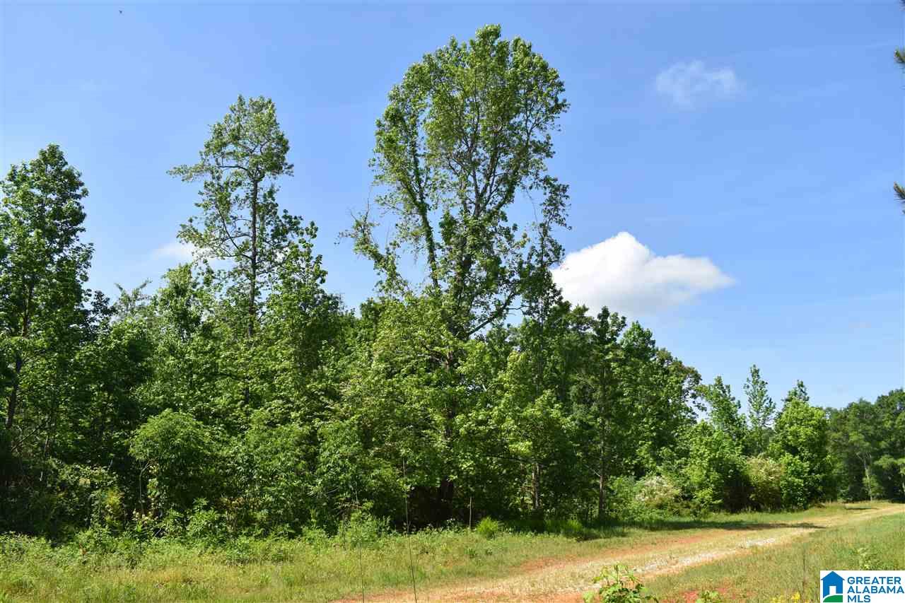 Lot 41 County Road 264, Unit RIVER BREEZE ESTATES Wedowee, AL 36278 - Photo 1 of 16