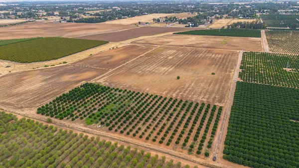 $19,500,000 | 10464 East Herndon Avenue, Clovis, CA 93619