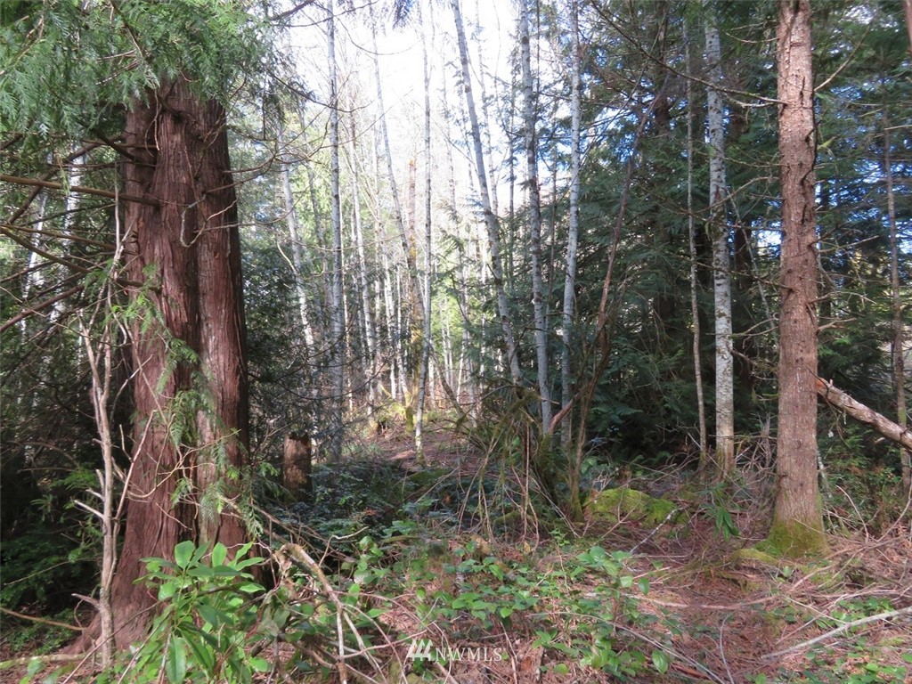 4 Wayne Road West Seabeck, WA 98380 - Photo 25 of 30 Gallery Image 25