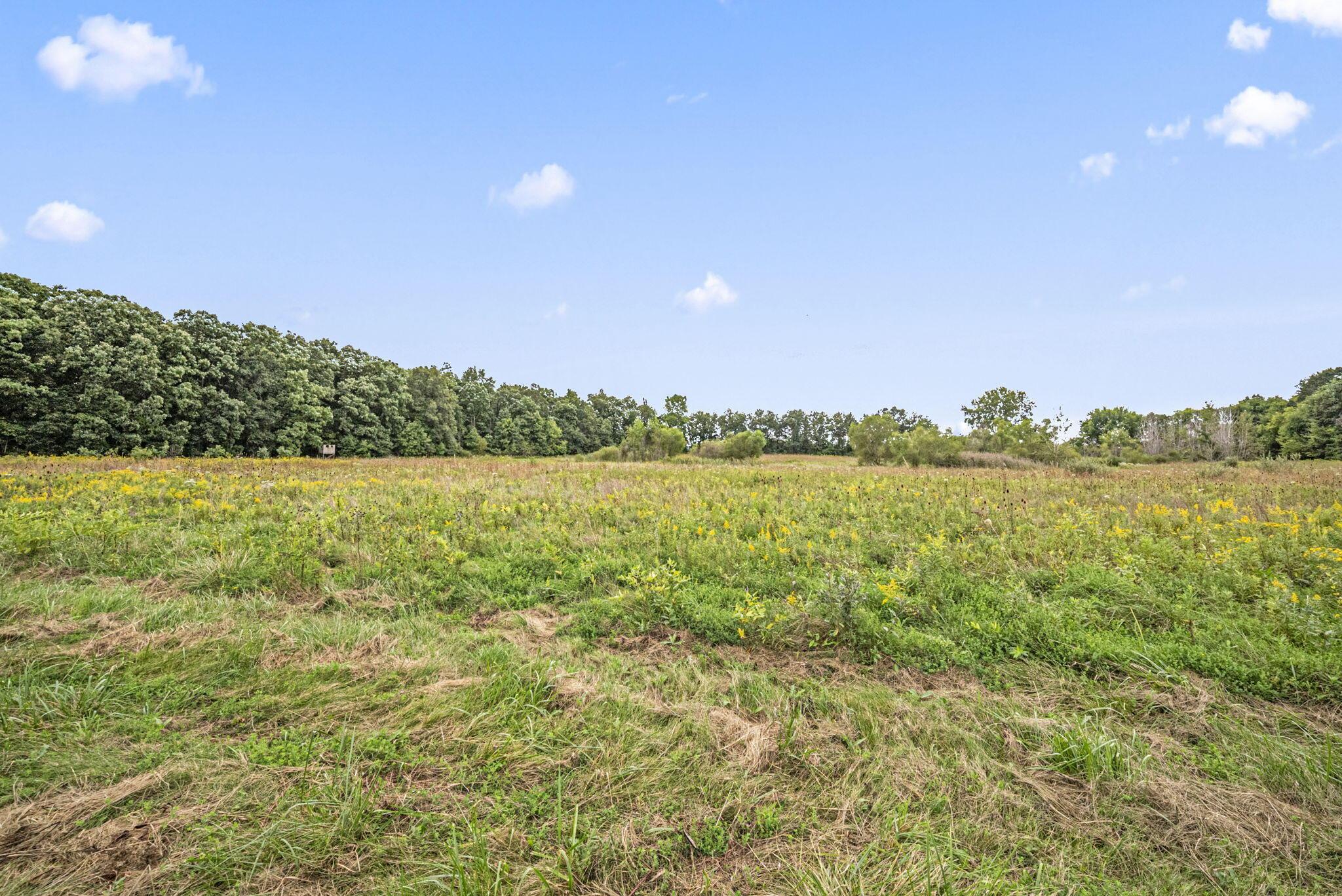 0 Likens Road Marion, OH 43302 - Photo 66 of 88 64-web-or-mls-DSC07086