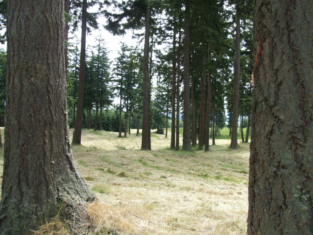 13 2/14 Scenic Road Freeland, WA 98249 - Photo 3 of 8