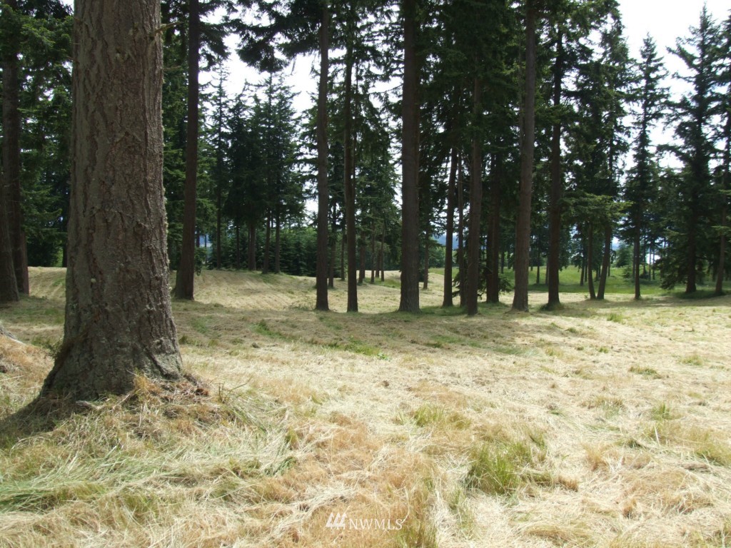 13 2/14 Scenic Road Freeland, WA 98249 - Photo 4 of 8