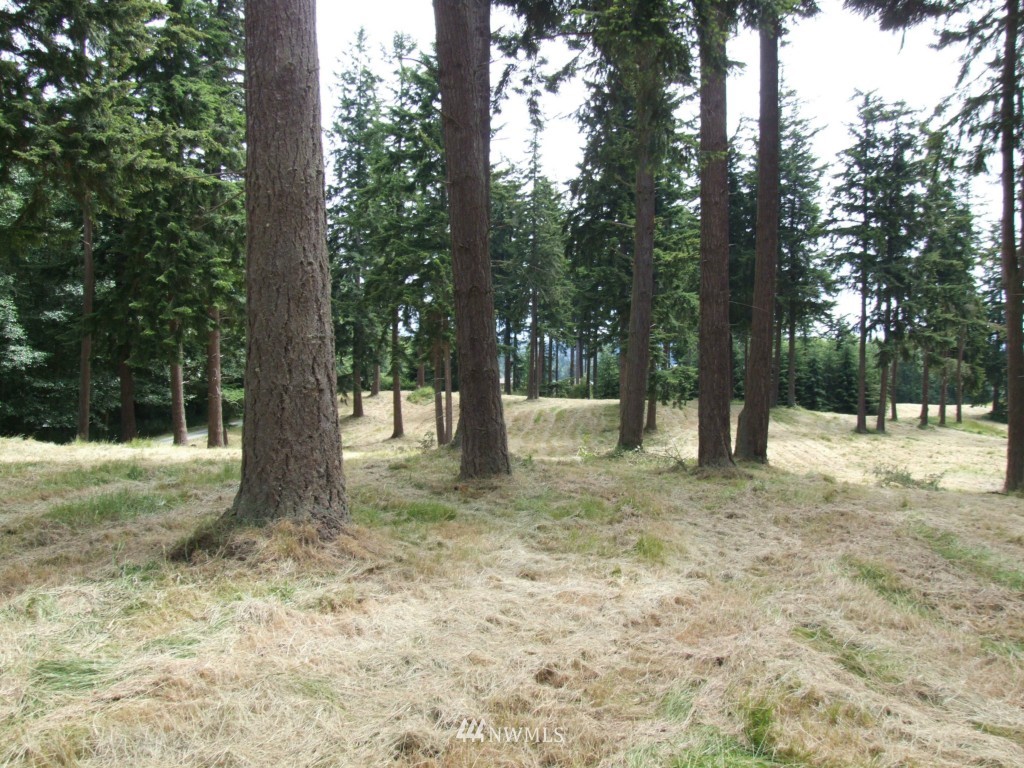 13 2/14 Scenic Road Freeland, WA 98249 - Photo 5 of 8