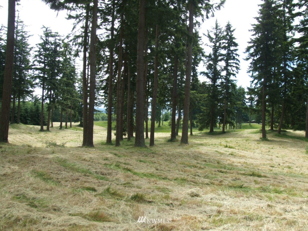 13 2/14 Scenic Road Freeland, WA 98249 - Photo 6 of 8