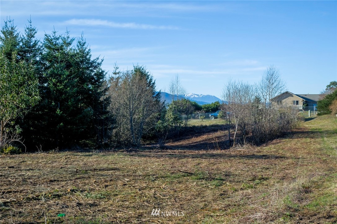 9 Marieta Loop Port Townsend, WA 98368 - Photo 2 of 8 Gallery Image 2