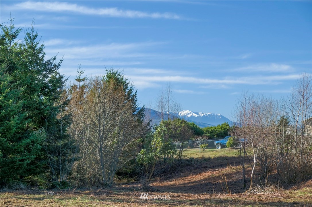 9 Marieta Loop Port Townsend, WA 98368 - Photo 6 of 8 Gallery Image 6