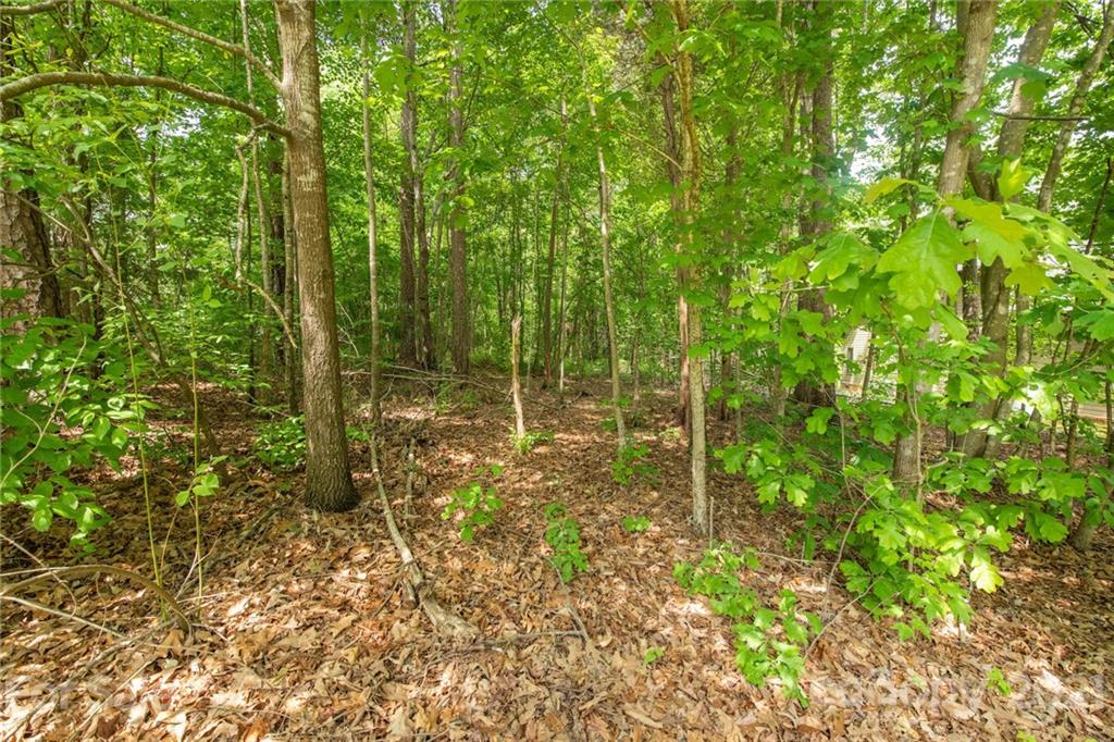 294 McCrary Road, Unit 28 Mooresville, NC 28117 - Photo 7 of 8 Gallery Image 7
