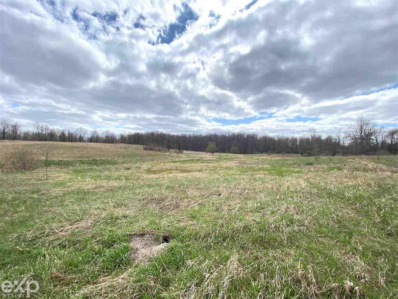 North Summers Road Imlay City, MI 48444 - Photo 6 of 11