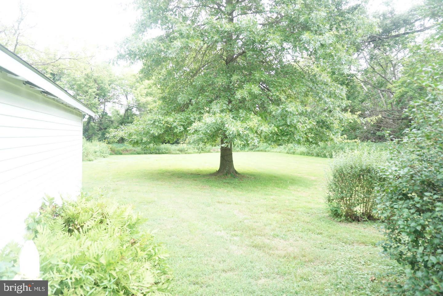 916 Durham Road Newtown, PA 18940 - Photo 3 of 20 Back Yard of Left side unit