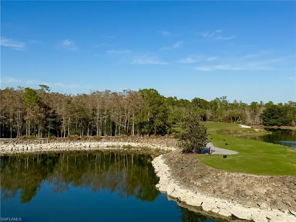 a view of a lake in middle of forest