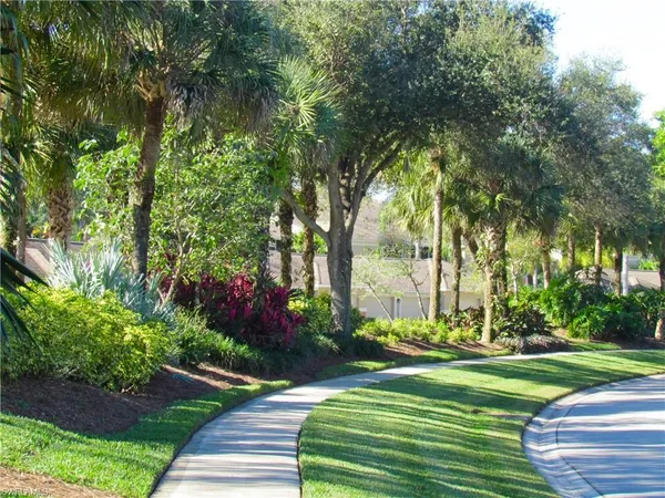 a view of a park with large trees