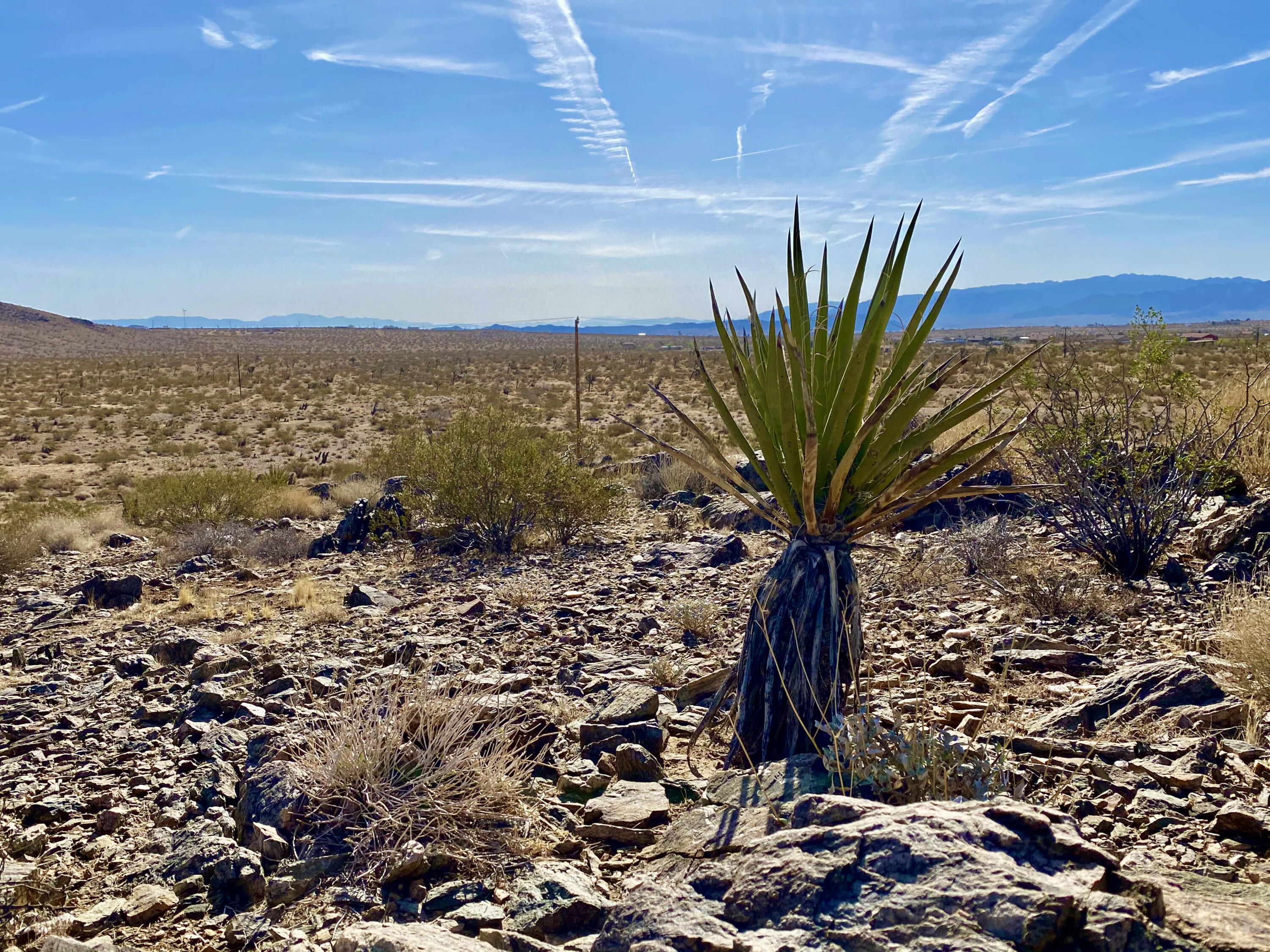 126 Demense Road Joshua Tree, CA 92252 - Photo 23 of 32 IMG_1012