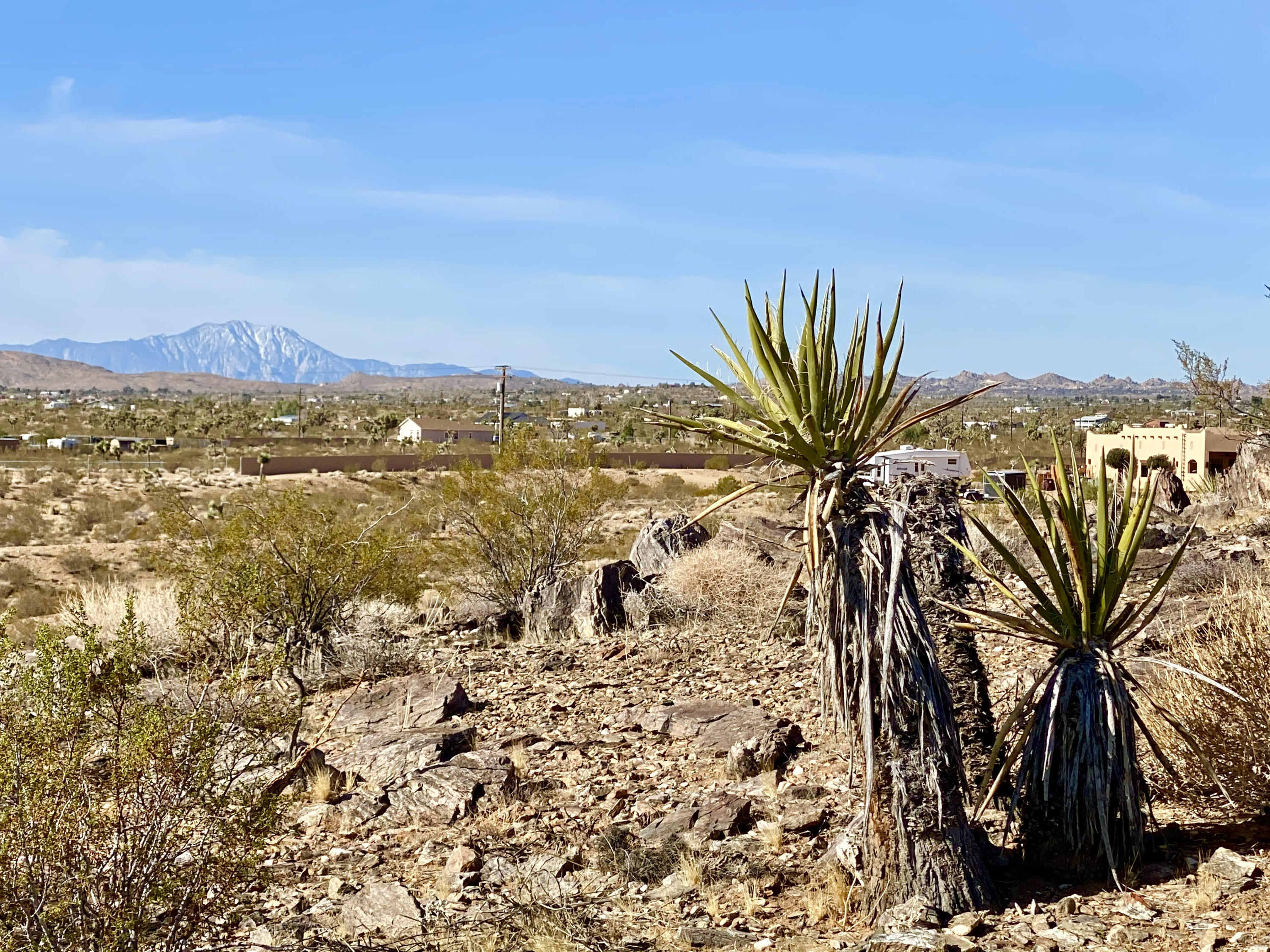 126 Demense Road Joshua Tree, CA 92252 - Photo 4 of 32 IMG_0993