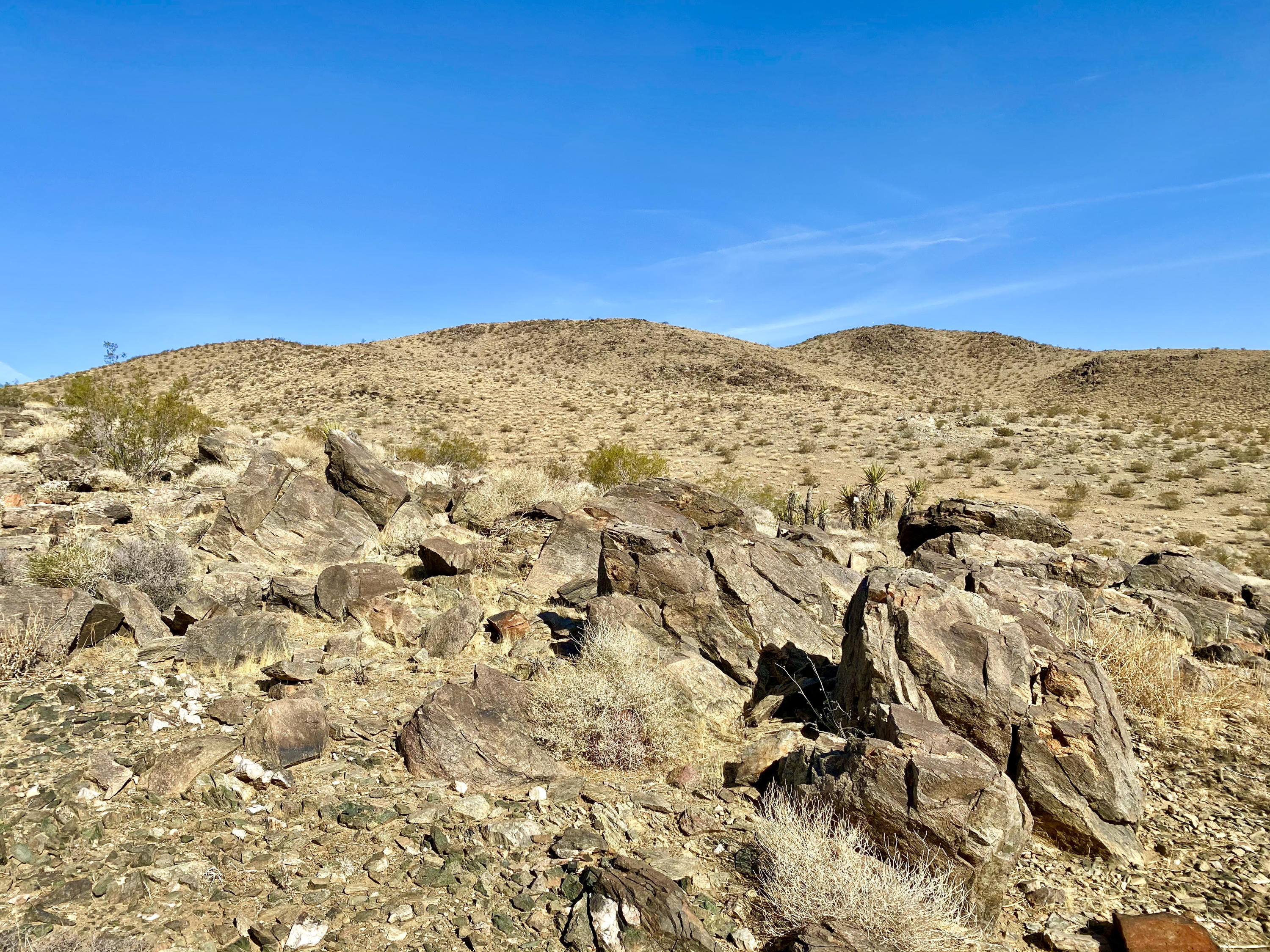 126 Demense Road Joshua Tree, CA 92252 - Photo 5 of 32 IMG_0992