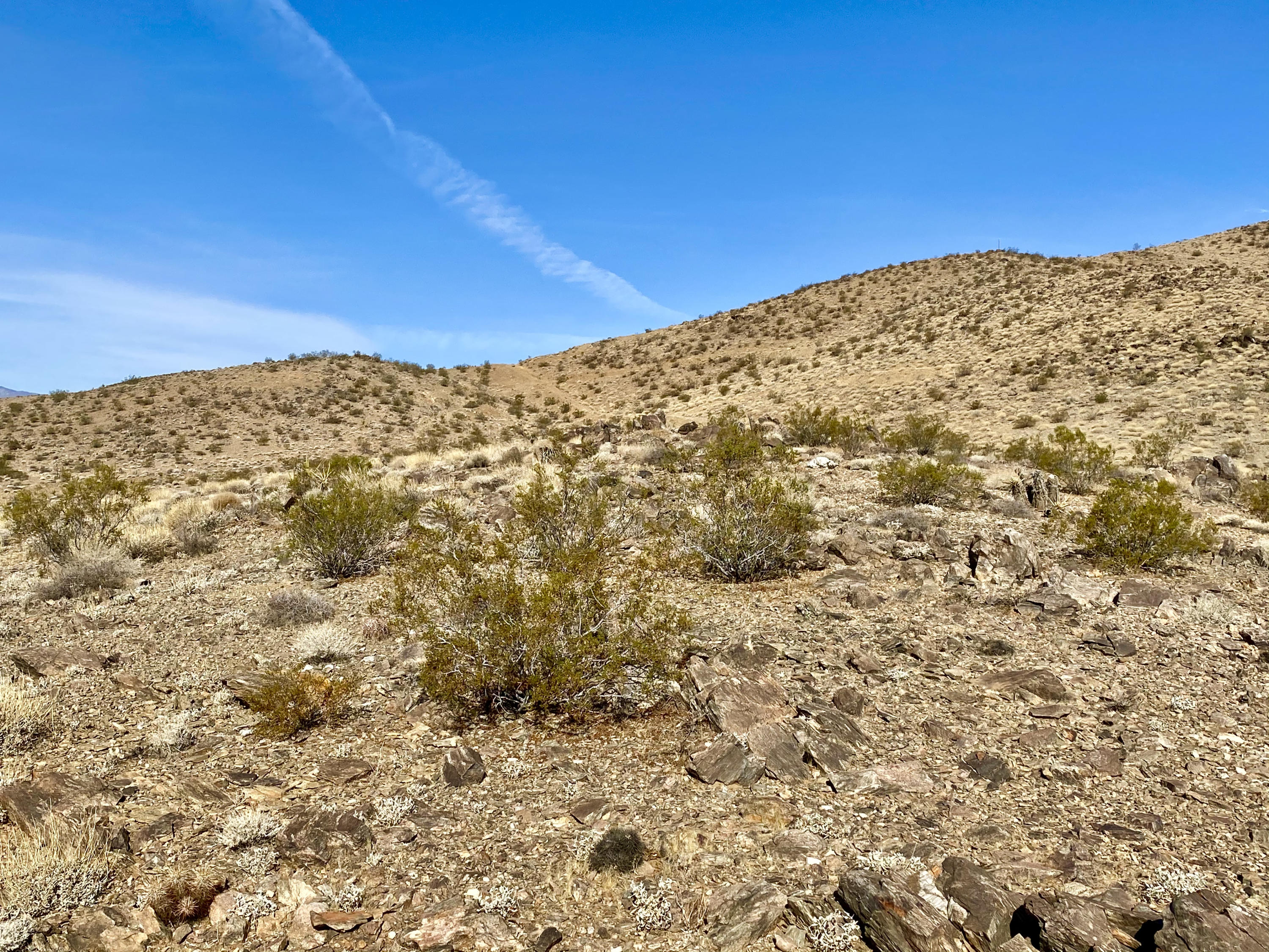 126 Demense Road Joshua Tree, CA 92252 - Photo 10 of 32 IMG_0997