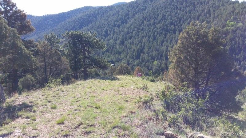 Laughing Valley Ranch Road Idaho Springs, CO 80452 - Photo 1 of 5 Gallery Image 1