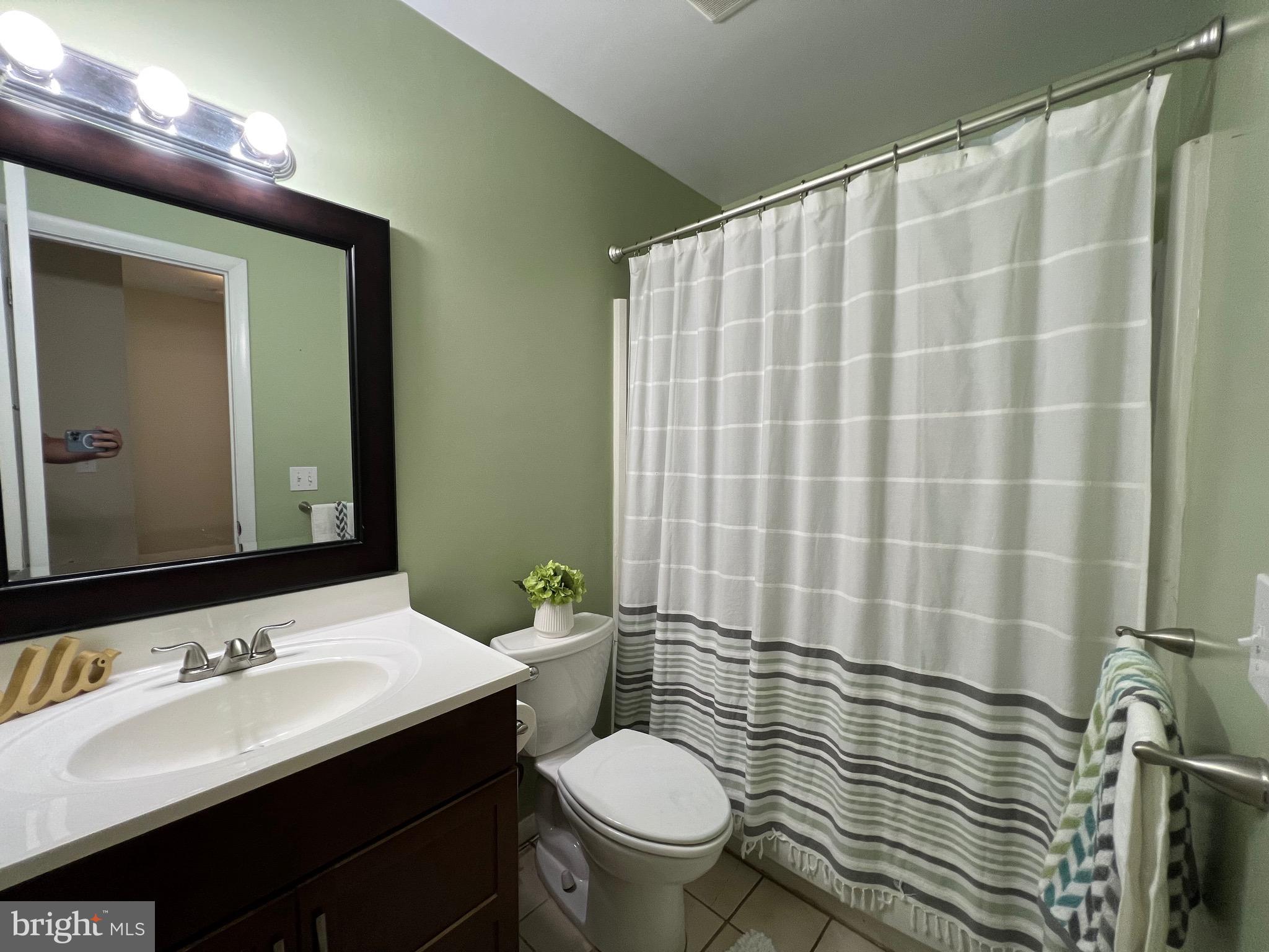 1010 Commanders Way North Annapolis, MD 21409 - Photo 19 of 33 a bathroom with a sink a toilet a mirror and shower curtain