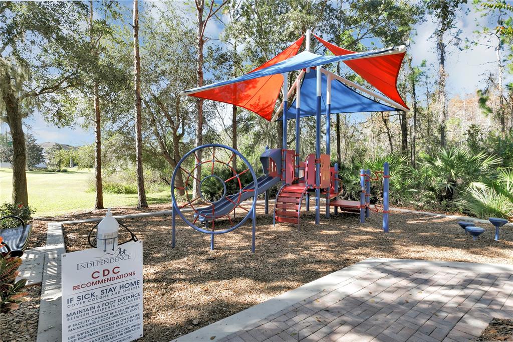 5636 Water Rose Road Winter Garden, FL 34787 - Photo 40 of 43