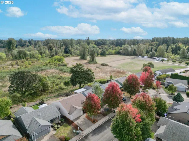 an aerial view of a house with a yard and a large tree
