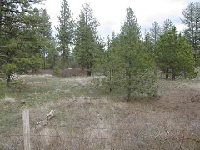 Xx-2 South Medical Lake Road Medical Lake, WA 99022 - Photo 1 of 4 Gallery Image 1