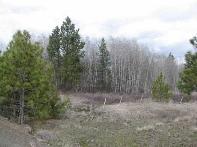 Xx-2 South Medical Lake Road Medical Lake, WA 99022 - Photo 2 of 4 Gallery Image 2