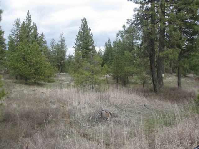 Xx-2 South Medical Lake Road Medical Lake, WA 99022 - Photo 3 of 4 Gallery Image 3