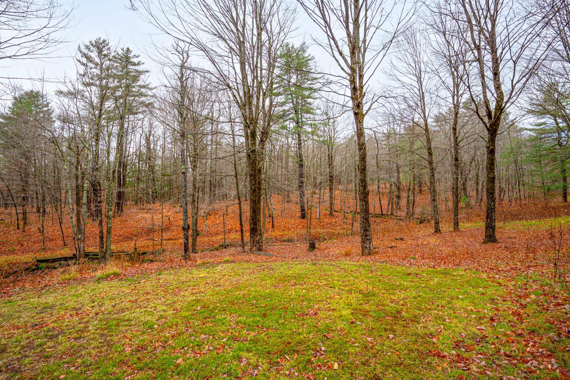 59 Old Marlow Road Washington, NH 03280 - Photo 20 of 34