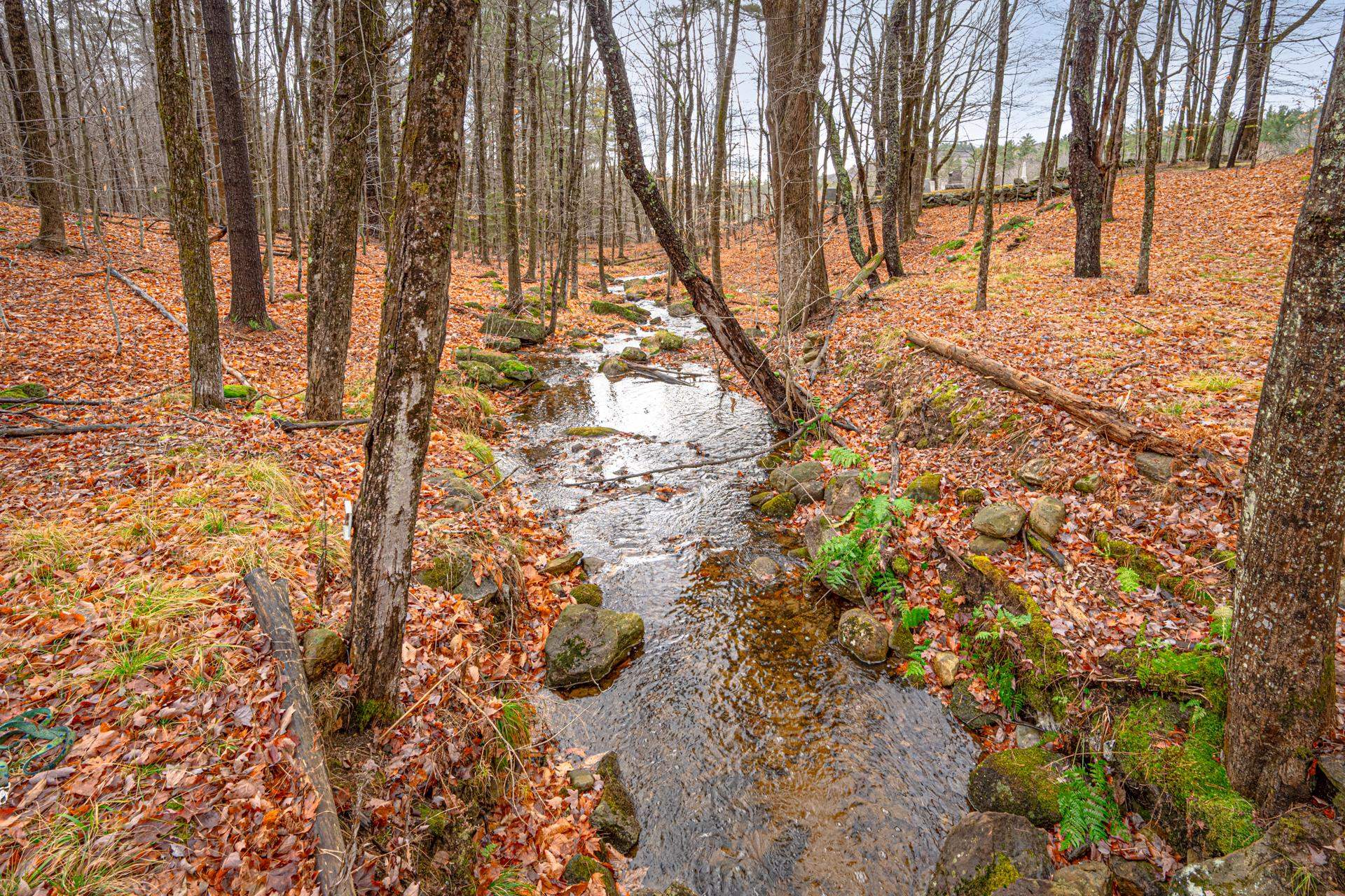 59 Old Marlow Road Washington, NH 03280 - Photo 23 of 34