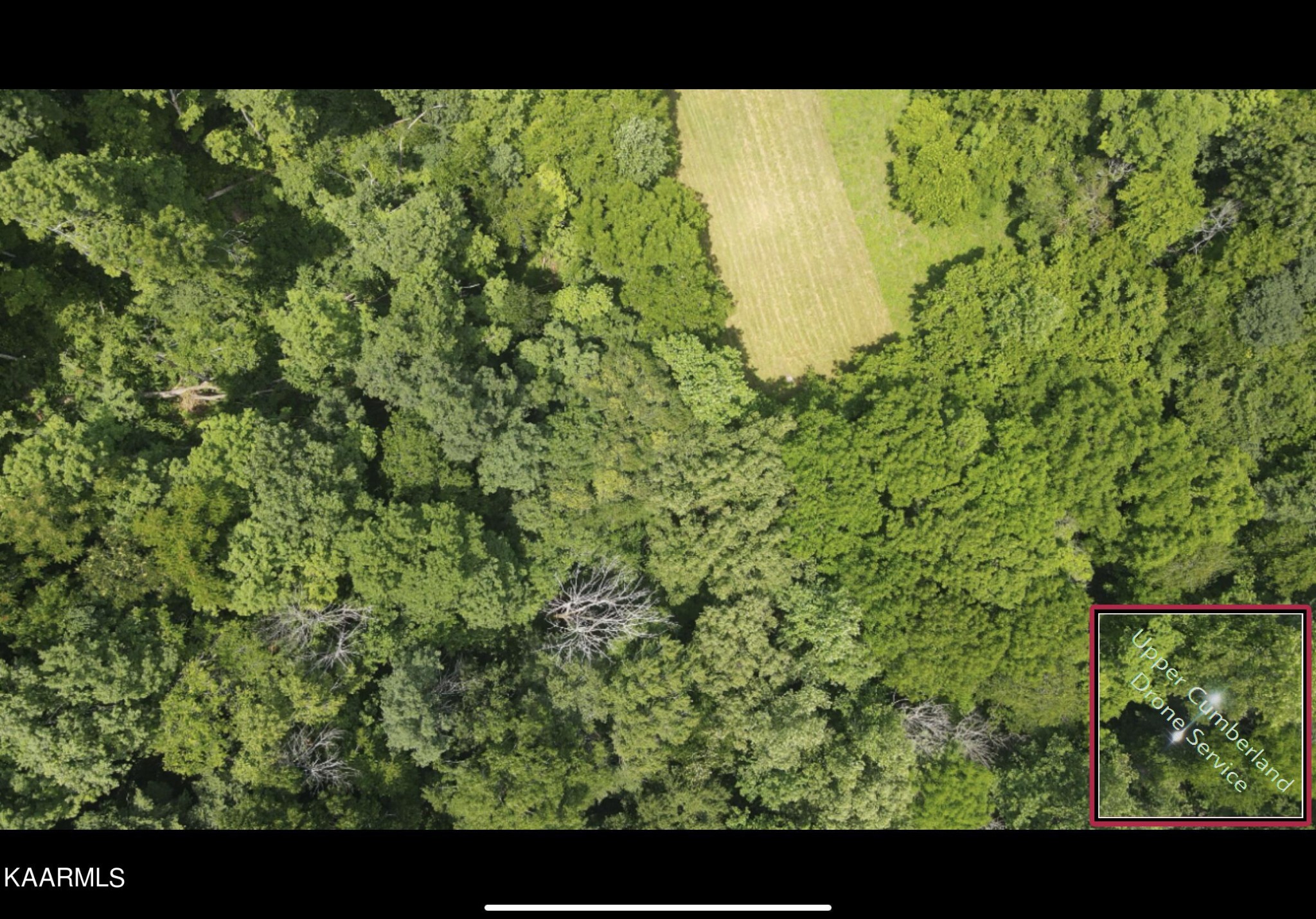 160 Bridge Road Byrdstown, TN 38549 - Photo 31 of 59 Gallery Image 31