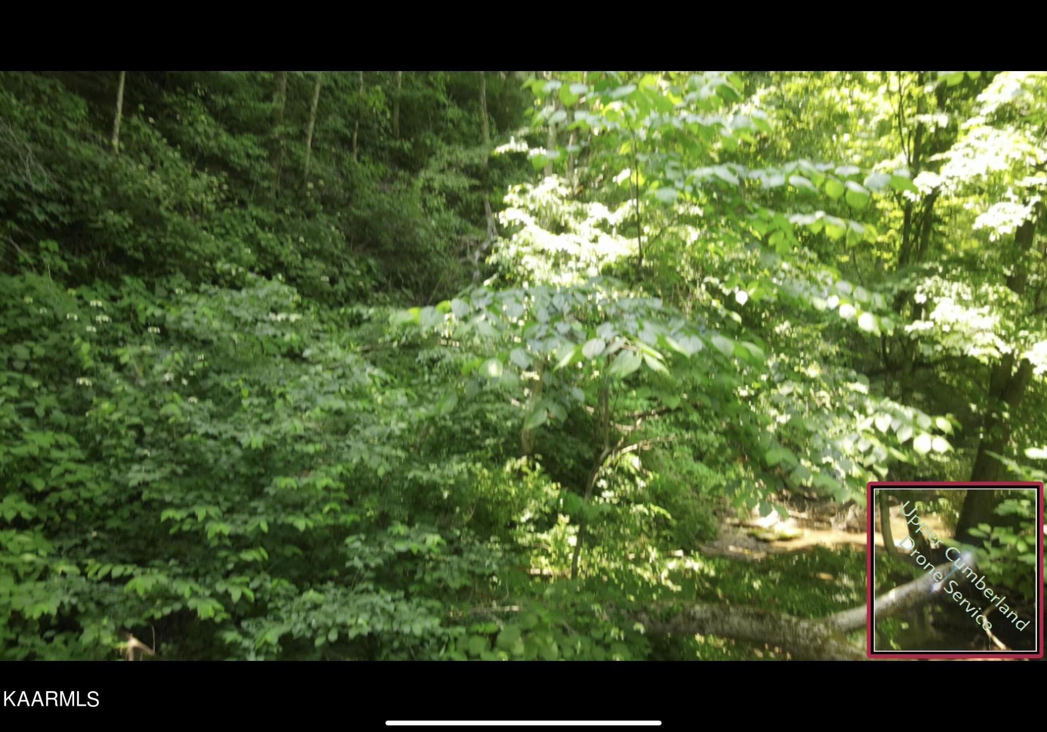 160 Bridge Road Byrdstown, TN 38549 - Photo 33 of 59 Gallery Image 33