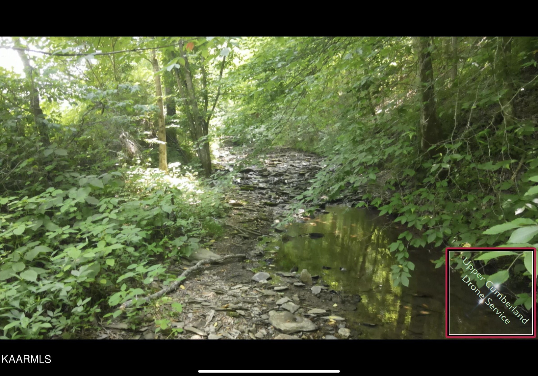 160 Bridge Road Byrdstown, TN 38549 - Photo 38 of 59 Gallery Image 38