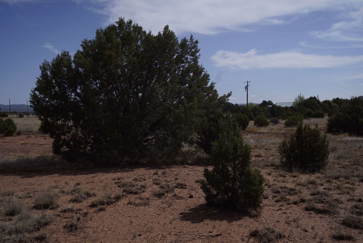 0 County Road Ribera, NM 87560 - Photo 11 of 20