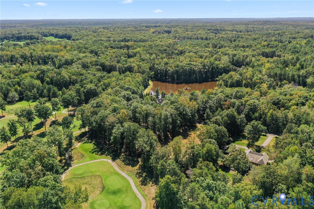 321 1st Flite Lane Manakin-Sabot, VA 23103 - Photo 6 of 11 an aerial view of a residential houses with trees and grass