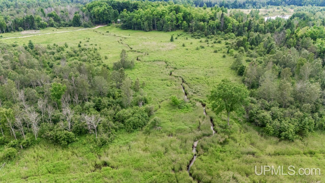 Tbd Tbd Delta Menominee C Road Bark River, MI 49807 - Photo 5 of 13