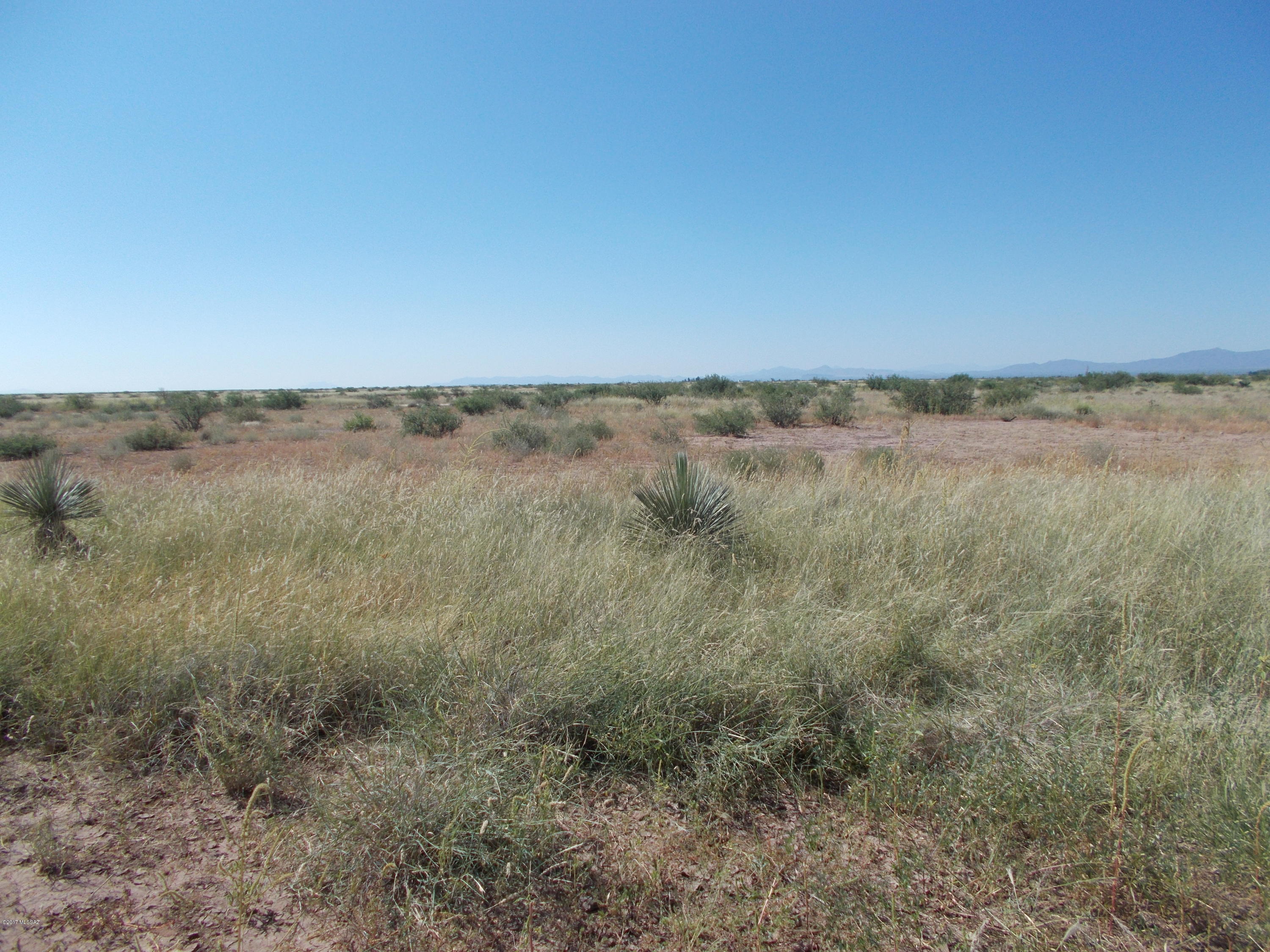 Lee Road McNeal, AZ 85617 - Photo 4 of 13