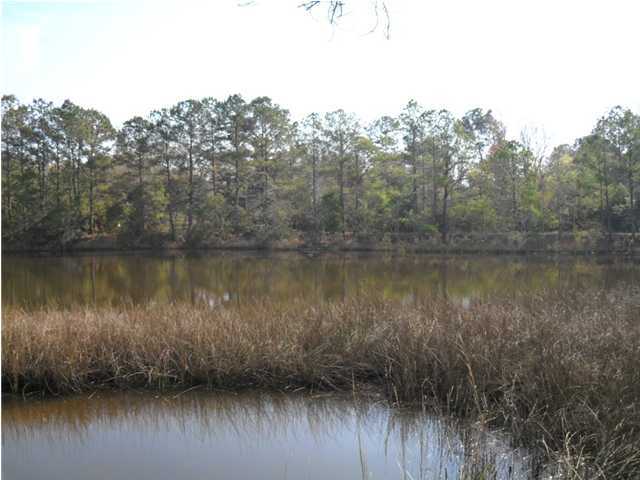 0 Irene Road Johns Island, SC 29455 - Photo 2 of 4 Additional Photo