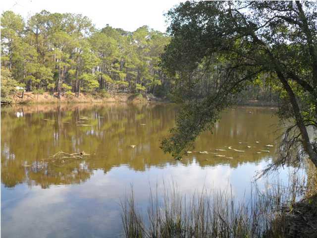 0 Irene Road Johns Island, SC 29455 - Photo 4 of 4 Additional Photo