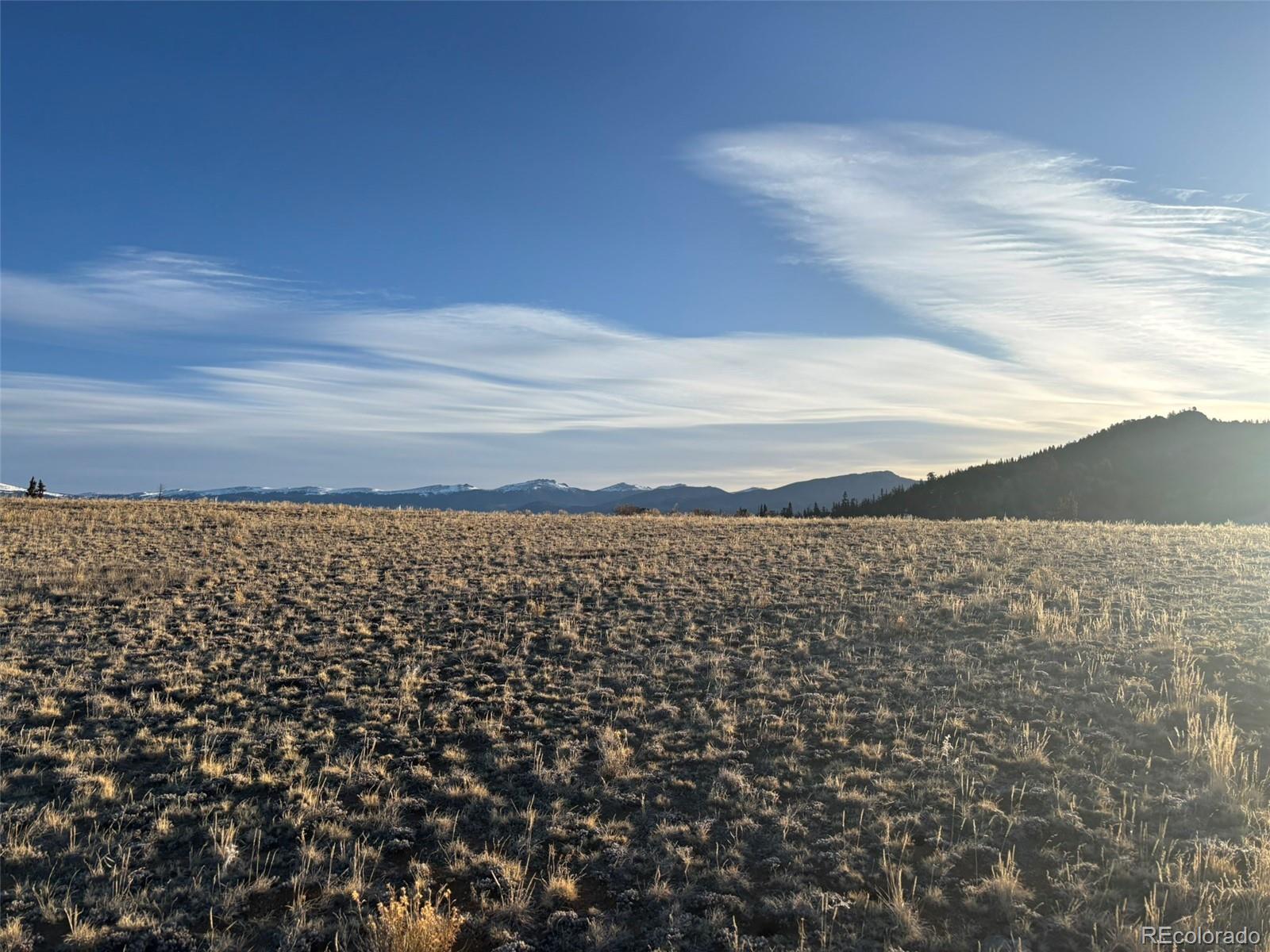 1290 Lippzana Road Como, CO 80456 - Photo 15 of 18 a view of a yard