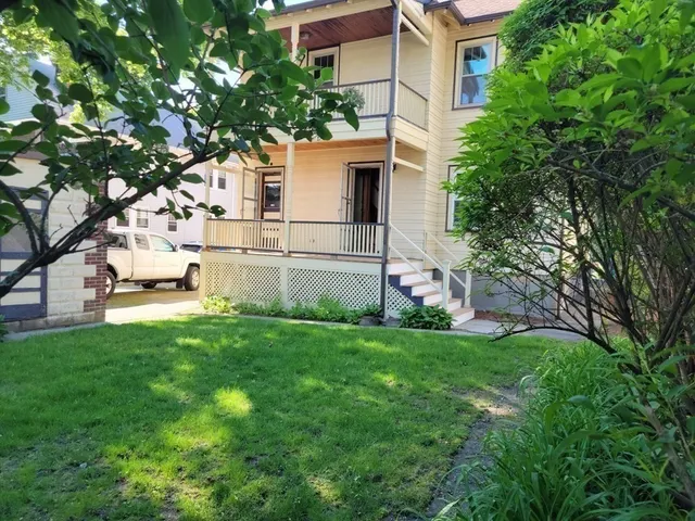 a view of a backyard with plants and large trees