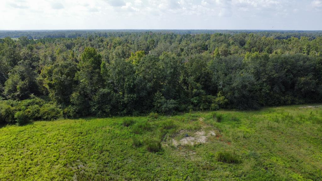2553 Coot Adams Road Ashford, AL 36312 - Photo 7 of 7