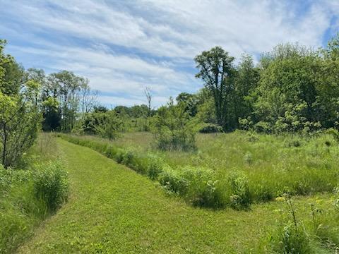 9007 Lake Road Eau Claire, MI 49111 - Photo 27 of 33 Back Acreage