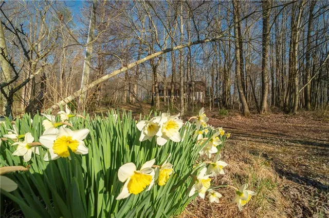 a bathroom with a toilet a sink and shower