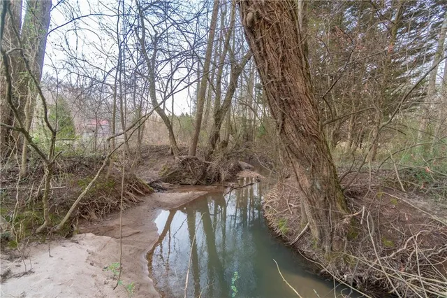 $725,000 | 96 Joyce Drive, Cleveland, GA 30528