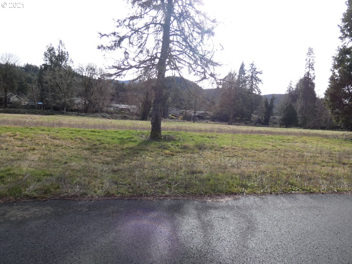 Omlid Drive, Unit 22 Springfield, OR 97478 - Photo 6 of 14 Gallery Image 6