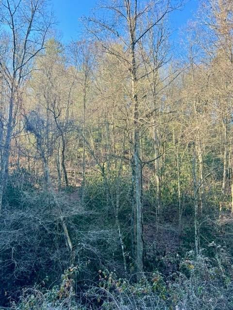 0 Poison Branch Road Robbinsville, NC 28771 - Photo 2 of 11 Gallery Image 2