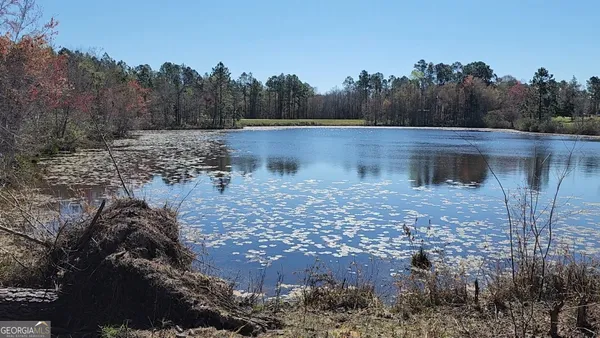$299,000 | 0 Marvin Church Road, Lyons, GA 30436