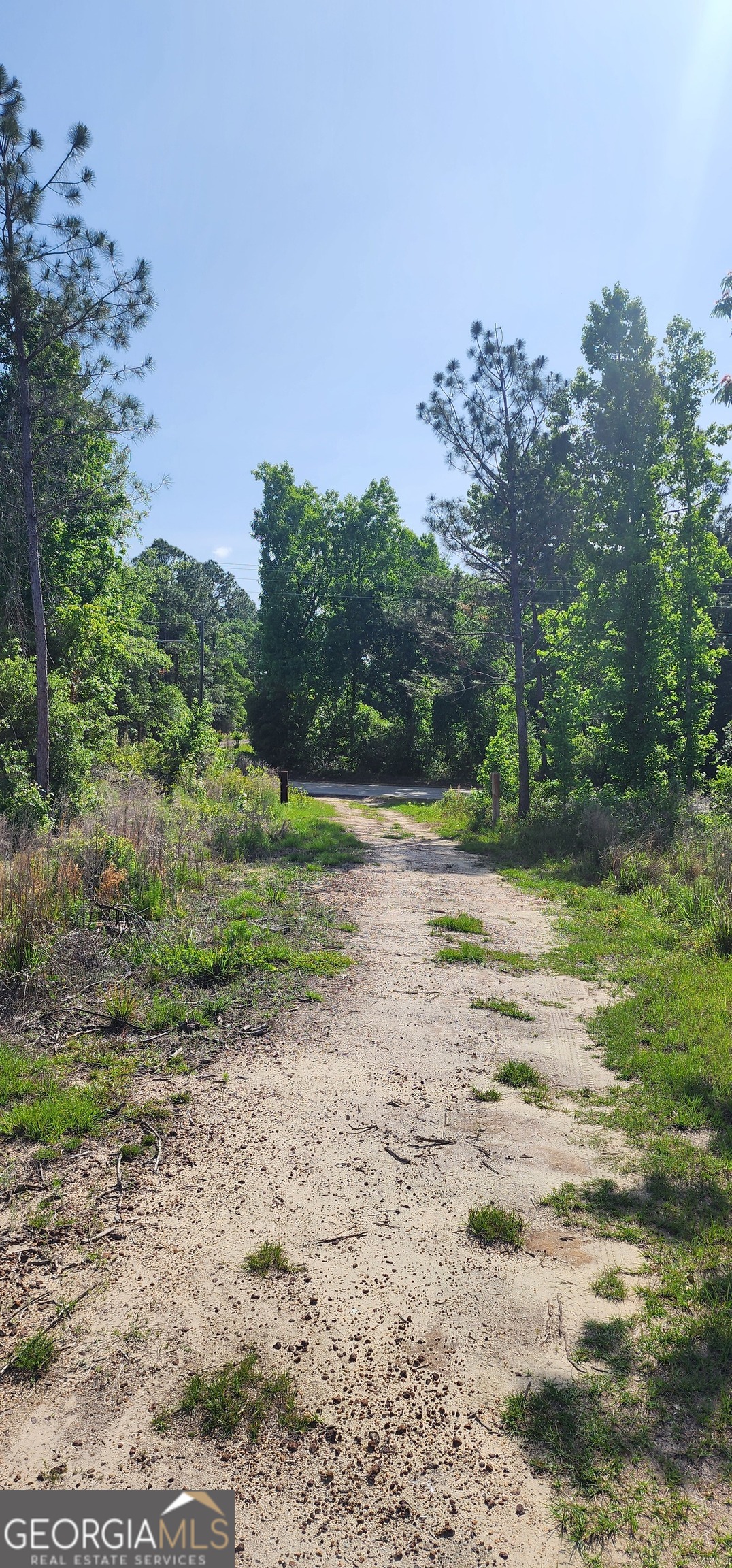 0 Marvin Church Road Lyons, GA 30436 - Photo 13 of 43 a view of a yard with a tree