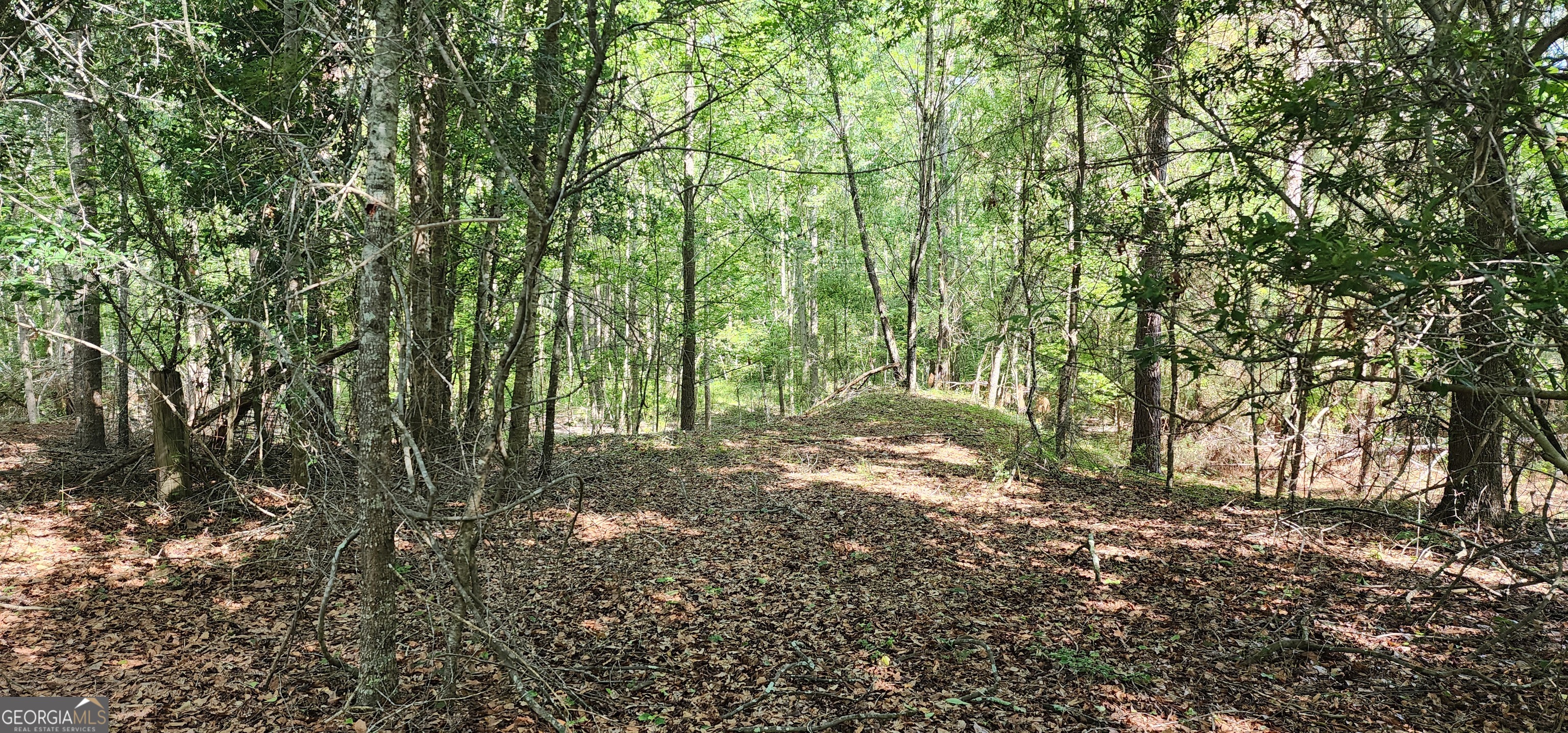 0 Marvin Church Road Lyons, GA 30436 - Photo 15 of 43 a view of outdoor space and trees