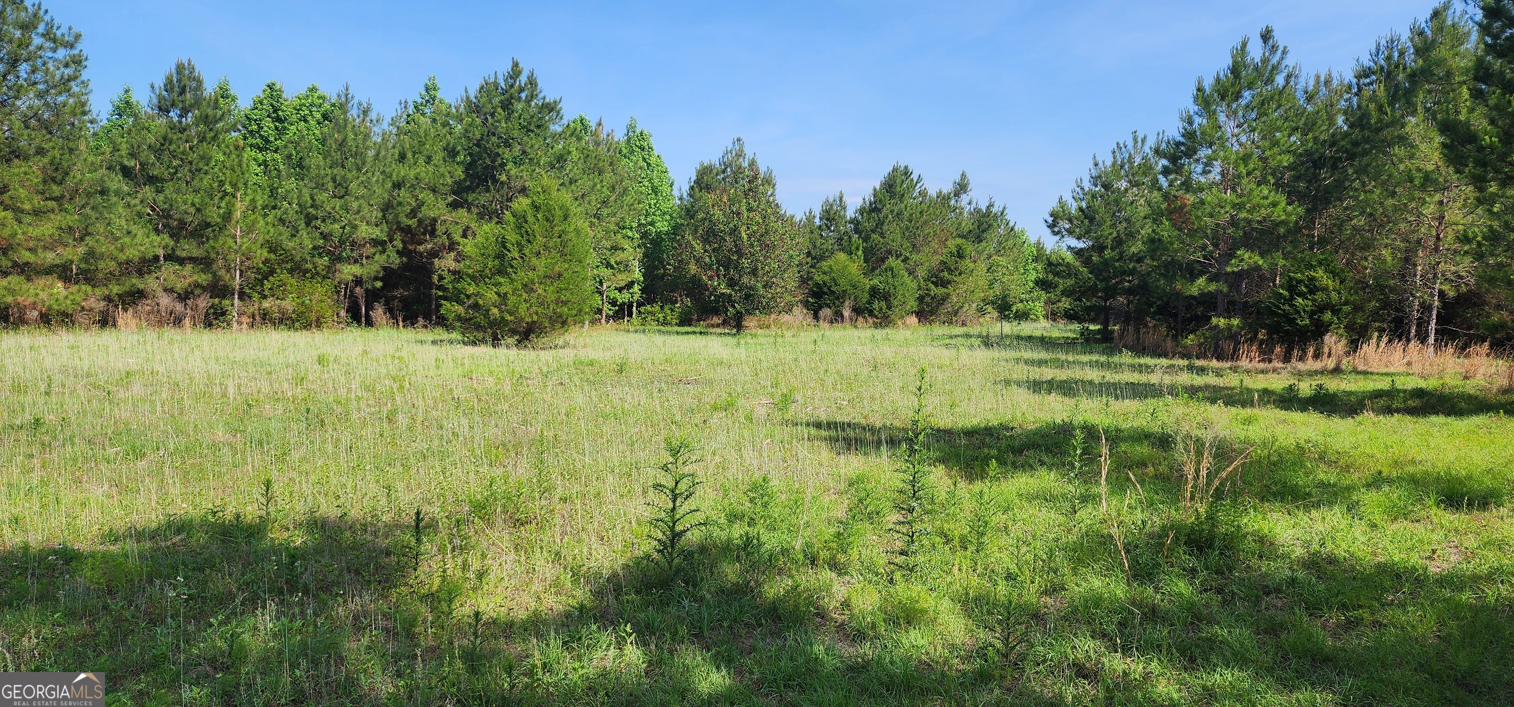 0 Marvin Church Road Lyons, GA 30436 - Photo 16 of 43