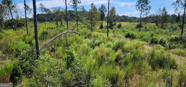 $299,000 | 0 Marvin Church Road, Lyons, GA 30436